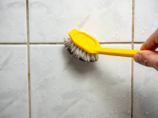 Professional Mold Remediation in Adelino, NM